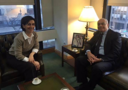 مصر تتسلم رسميًا رئاسة لجنة عقوبات الكونجو الديمقراطية بمجلس الأمن