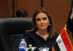 نصر: صندوق جديد يخص المنطقة العربية لمساعدة الدول المتأثرة بعدم الاستقرار السياسي