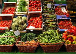 وزارة الزراعة: 124 ألف طن صادرات الفاكهة والخضروات في اسبوعين