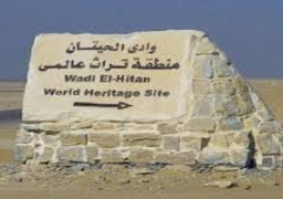 وزير البيئة يؤكد مجددا افتتاح متحف وادي الحيتان في منتصف هذا الشهر