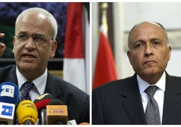 وزير الخارجية يستقبل عريقات للتشاور بشأن الأوضاع في الأراضي الفلسطينية