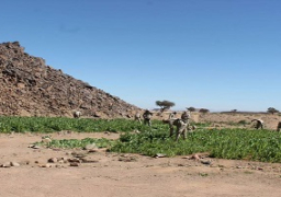 فى ضربة قاسمة للمهربين وتجار المواد المخدرة .. قوات حرس الحدود تضبط (10) كيلو من الهروين الخام