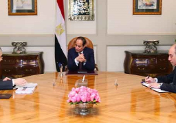 الرئيس يشيد بمعدلات تنفيذ خطة توفير الكهرباء .. ويوجه بسرعة بحث شكاوى المواطنين