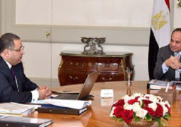 السيسى يستعرض مع أشرف سالمان تبسيط إجراءات الاستثمار وتطوير عمل الوزارة