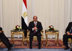 السيسي يلتقي رئيس بنك التنمية الأفريقي