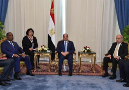 السيسي يلتقي رئيس وزراء توجو ويتطلع للمساهمة في مشروعات البنية التحتية