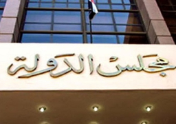 تأجيل نظر استئناف وقف تنفيذ حكم بطلان اتفاقية ترسيم الحدود ل25 ديسمبر