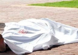 القنصلية العامة بالرياض تتابع حادث مقتل مواطن مصرى