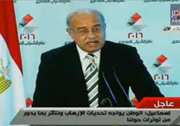 إسماعيل:الحكومة تعتزم تنفيذ مسيرة تنموية تضع الاقتصاد المصري بمكانته التي تليق به