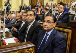 “النواب” يرفض رفع الحصانة عن عبد الرحيم علي .. والنائب يحتج على عرض الموضوع