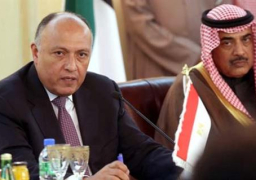 القاهرة تستضيف اجتماعات اللجنة المصرية الكويتية برئاسة وزيري الخارجية 14 فبراير