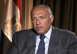 وزير الخارجية يبحث مع نظيره الايرلندي القضايا ذات الاهتمام المشترك