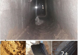 القضاء على (10) تكفيريين وإصابة (13) وإكتشاف نفق خرسانى مجهز برفح …