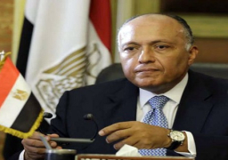 شكري يبحث مع نظيره الاثيوبي الاعداد لانعقاد لجنة على مستوى الرؤساء