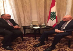 شكري يلتقي برئيس وزراء لبنان ووزراء خارجية روسيا والولايات المتحدة وألمانيا وأمين عام منظمة التعاون الاسلامي