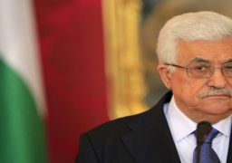 فلسطين: مصر قوة لنا داخل مجلس الأمن