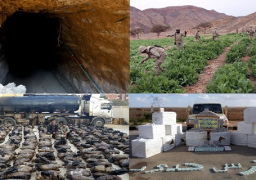 قوات حرس الحدود تواصل ضرباتها الأمنية على كافة الإتجاهات الإستراتيجية