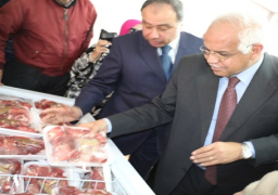 بالصور… محافظ القاهرة يفتتح منفذا لبيع السلع الغذائية المخفضة بالمقطم