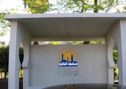 محافظ القاهرة:تطوير 10 مواقف أتوبيسات و1000 محطة عابرة بالعاصمة