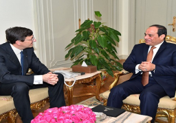 الرئيس يستقبل رئيس مجموعة فودافون العالمية