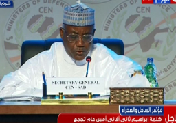 أمين”الساحل والصحراء”: يجب وضع آلية خاصة للدفاع المشترك بين الدول الأفريقية