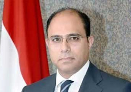 مصر تدين تفجير أنقرة وتؤكد وقوفها إلى جانب الشعب التركي