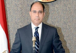 “الخارجية”: مصر مع وحدة سوريا.. واستبعاد الأكراد من المفاوضات خطأ جسيم