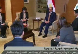 الرئيس السيسي يتفقد هيئة المنطقة الاقتصادية الحرة وميناء انشون