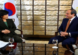الرئيس يجري عددا من اللقاءات والحوارات مع وسائل الإعلام المرئية والمقروءة في كوريا الجنوبية