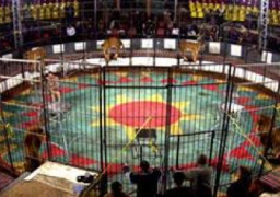 السيرك القومي : إيراداتنا وصلت إلى 4 ملايين جنيه ونتمنى تعاون مؤسسات الدولة