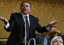 رسميا..توفيق عكاشة خارج البرلمان ومقعد نبروه شاغر