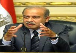 رئيس الوزراء يلتقى وزراء الصحة العرب لتحسين صحة الأمهات والأطفال