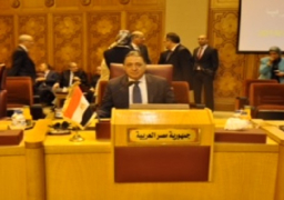 راضى يقترح إنشاء مركز لقاعدة بيانات مشتركة للأمراض بين وزارات الصحة بالدول العربية