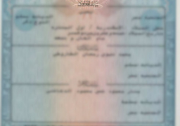 استخراج أول شهادة ميلاد أو بطاقة رقم قومي مجانا بمناسبة عيد الأم