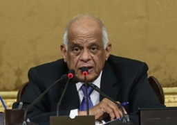 رئيس “النواب” يشكر الرئيس السيسي والحكومة على إدارة أزمة الطائرة المختطفة