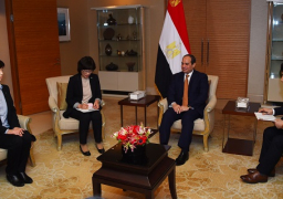 السيسى : نرحب بالاستثمارات والشركات الكورية للعمل وزيادة الاستثمار