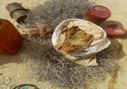 الجيش الثالث الميدانى ينجح فى ضبط أحد الأوكار التابعة للعناصر الإرهابية والقضاء على عدد (2) فرد من العناصر الإرهابية شديدة الخطورة