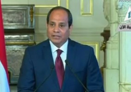 الرئيس عبد الفتاح السيسى: زيارة الرئيس الفرنسى لمصر تؤكد تطور العلاقات بين البلدين
