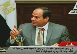 السيسي: ترسيم الحدود البحرية يخضع لقوانين دولية ومعاهدات