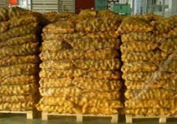 السفارة المصرية تنجح في حل مشكلة شحنة بطاطس مصدرة إلى لبنان