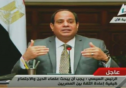 السيسى للمصريين: أوعوا الاستقرار والأمن ينسيكم أن التحديات مستمرة