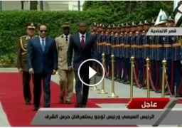 رئيس توجو للسيسي: أعطيتم دفعة للعلاقات مع إفريقيا ولاقتصاد بلدكم