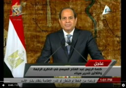 بالفيديو : كلمة الرئيس عبد الفتاح السيسى فى الذكرى الرابعة والثلاثين لتحرير سيناء