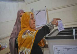 استمرار العملية الانتخابية بدائرة طلخا ونبروه لاختيار نائبها الجديد