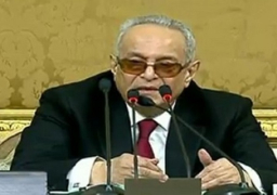 الوفد يحذر ” الحكومة” من خلط عمل الحقوقي بالسياسي دون تشريع