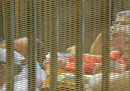 بالصور .. تأجيل محاكمة “بديع” وآخرين في “أحداث الإسماعيلية” للغد