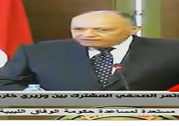 شكري : المباحثات مع وزير الخرجية البحريني تناولت الاوضاع المضطربة بالمنطقة