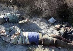 العثور على جثث 11 شخصا في الرأس الأخضر بينهم 8 جنود