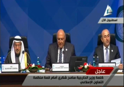 شكري : هناك مؤشرات على توسع الصراعات التي سيكون لها تداعيات خطيرة