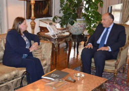 بالصور.. وزير الخارجية يستقبل زوجة المناضل الفلسطيني مروان البرغوثي